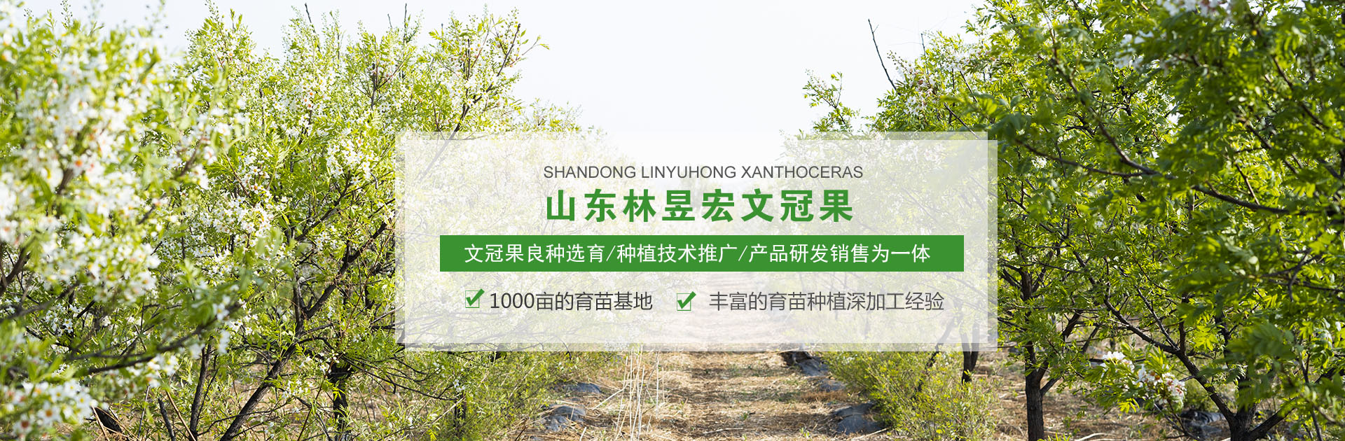204新奥马新免费资料