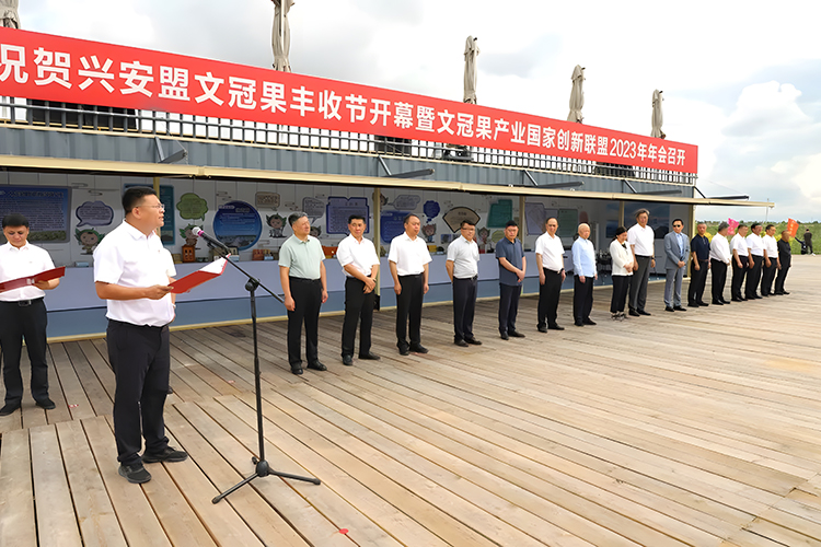 204新奥马新免费资料